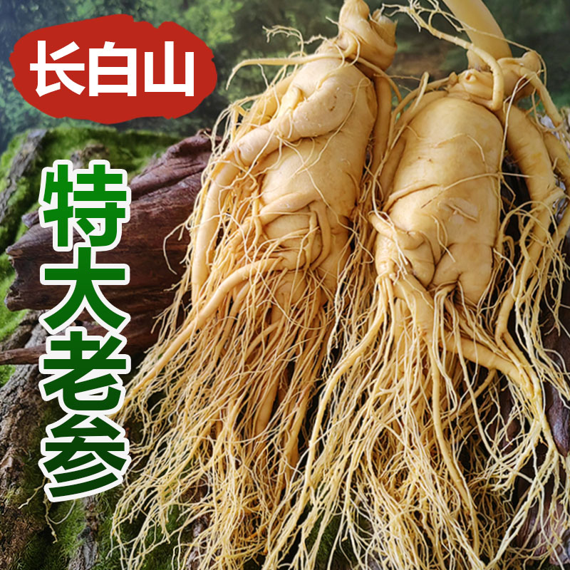 陇萃堂当归切片：甘肃特产，养生必备，送礼自用两相宜