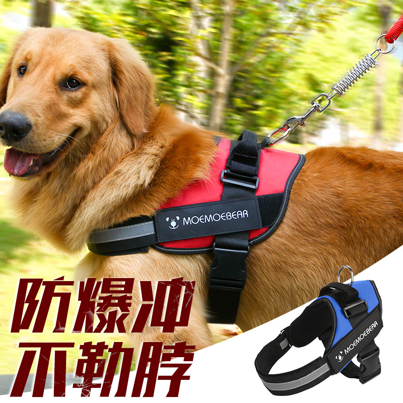 K9狗狗牵引绳胸背带：小型犬到中大型犬的遛狗神器，泰迪、金毛、拉布拉多必备遛狗绳子大揭秘！