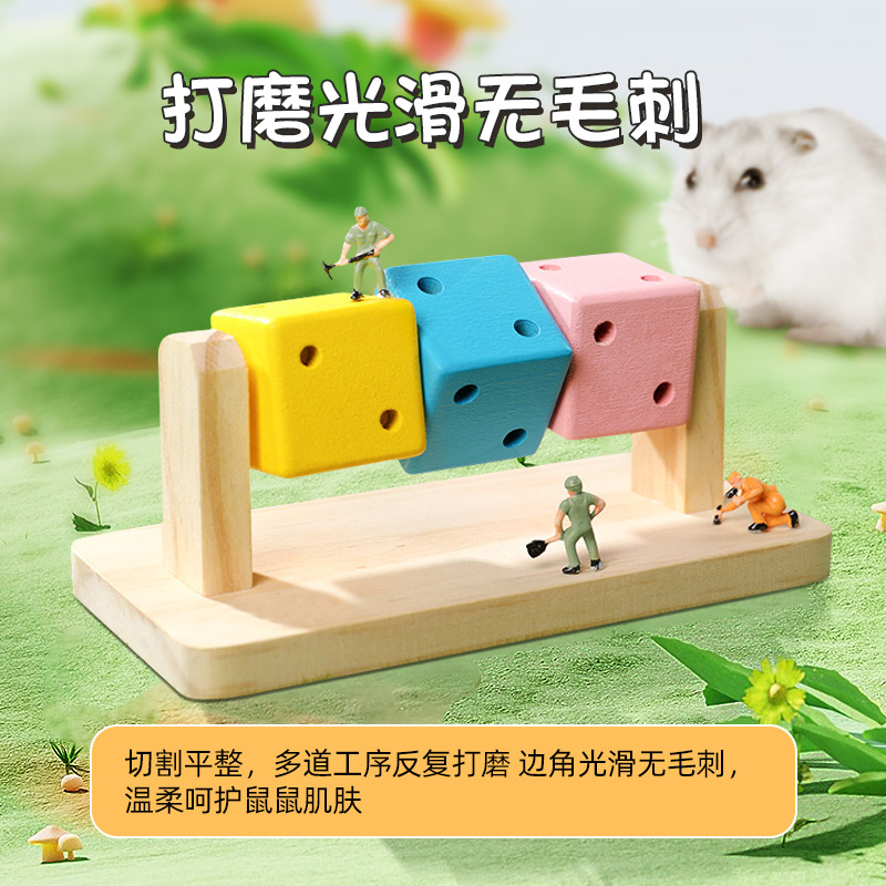 仓鼠乐园大揭秘！金丝熊必备用品清单