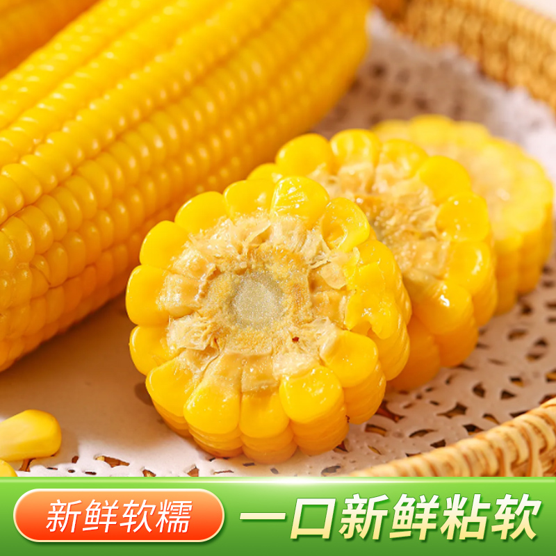 东北特产地道美味！真空包装新鲜采摘的苞大人创新榛纯甜糯玉米棒，让你尝鲜不停歇！
