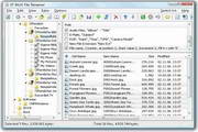 EF Multi File Renamer4.60