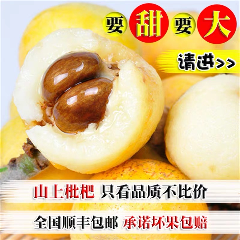 苏州东山白玉枇杷：甜蜜诱惑，孕妇也能放心享受的鲜果盛宴！