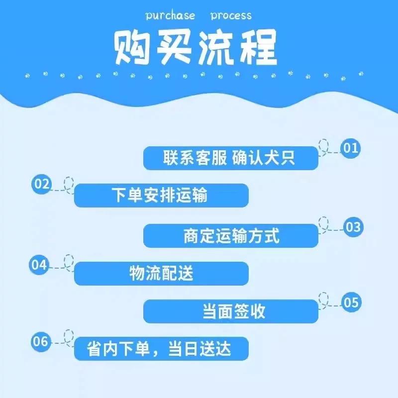 陕西犬舍纯种边牧犬训狗教程 | 黑白陨石色幼犬，活体宠物狗狗的训练秘籍大公开！