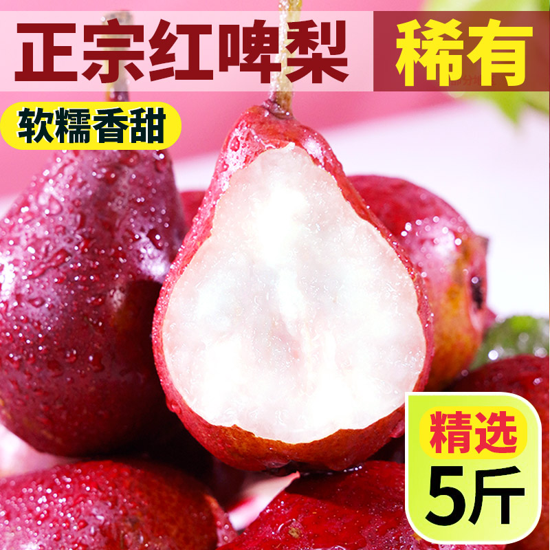 当季新鲜水果大放送！山西太婆梨，软梨界的扛把子来啦！