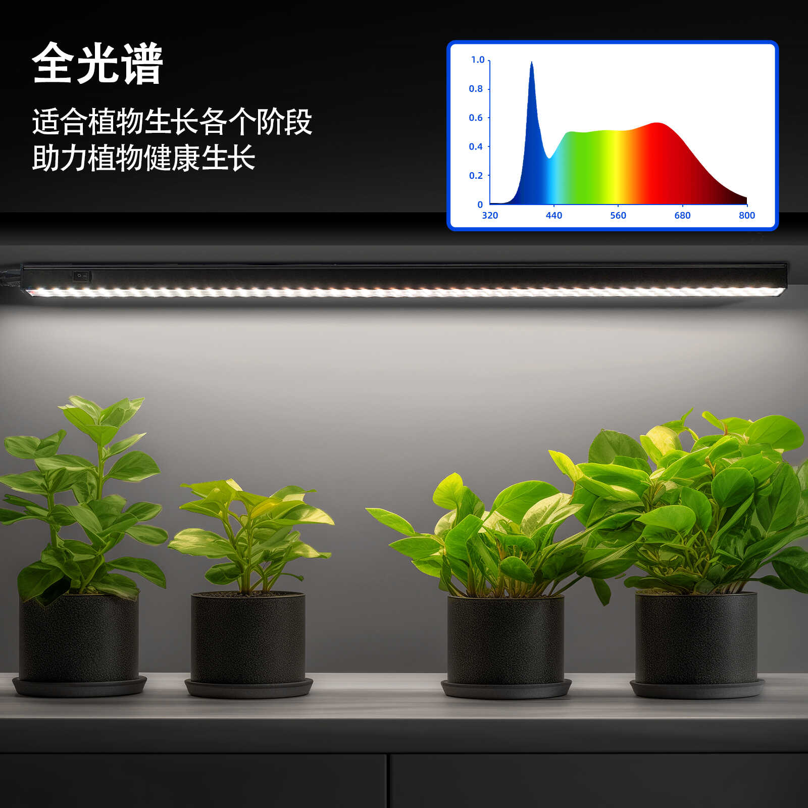 育苗盒+LED补光灯=室内种植神器，开启你的绿植生活