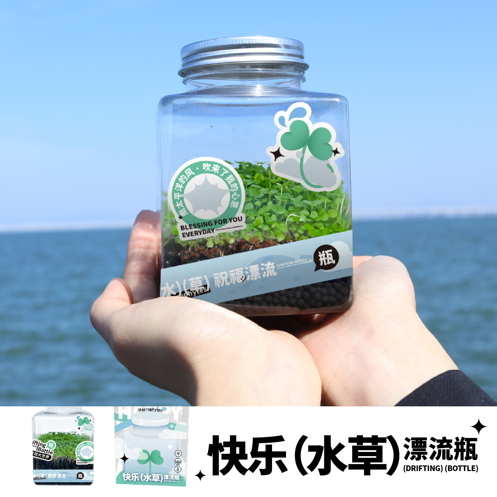 水草种植漂流瓶：给办公室桌面注入生命的绿意，孩子的幸运祝福盒