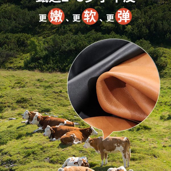 久坐办公党必入！这款真皮弓形椅让我每天想多坐2小时！