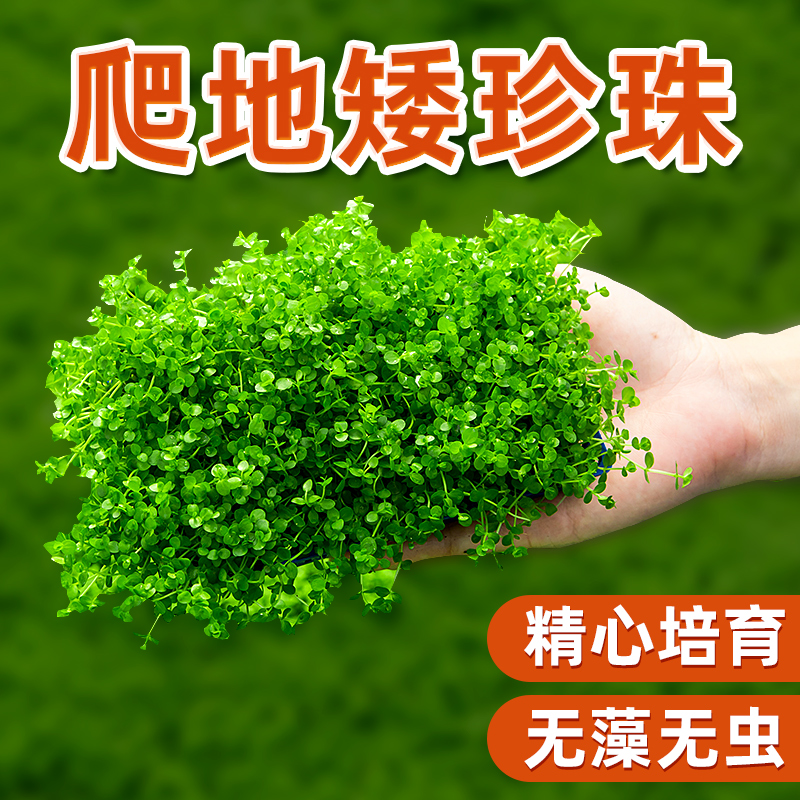 阿里云最吃香的三个岗位：高薪+前景+抢人疯！你上车了吗？