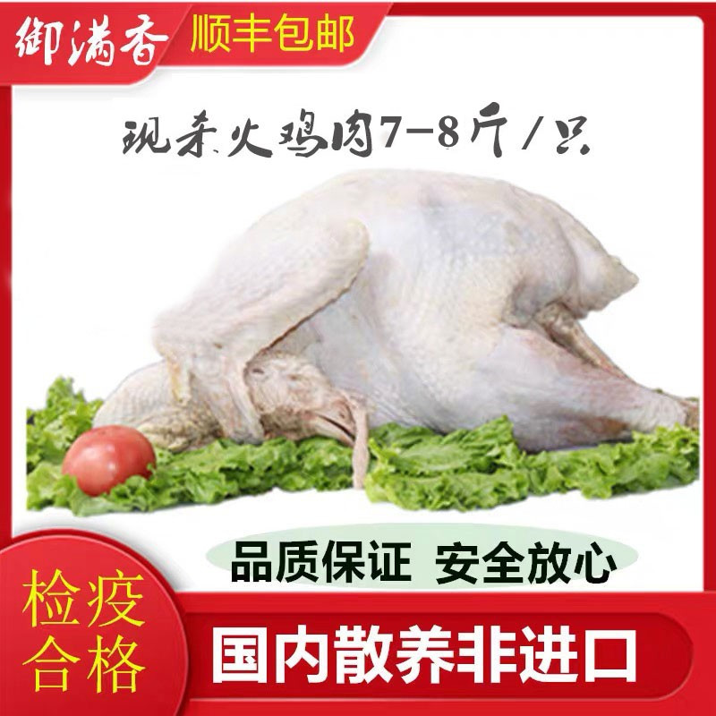 感恩节：不只是吃火鸡，更是感恩生活的盛宴