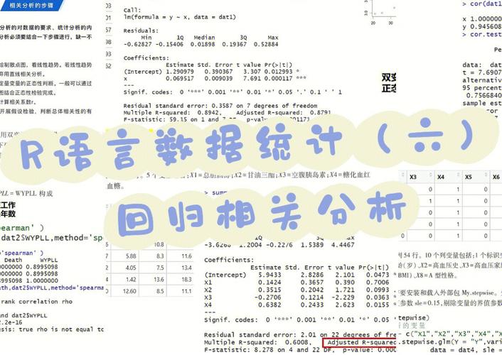 r语言社区,技术交流与资源共享的盛宴