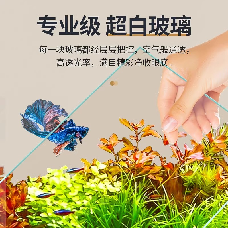 2025款家用玻璃水族箱：懒人必备，客厅里的活水艺术