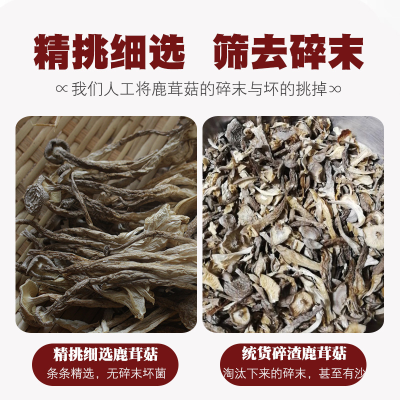 贵州鹿茸菇：野生山珍的神秘价格揭秘