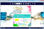 Flip Reader1.0