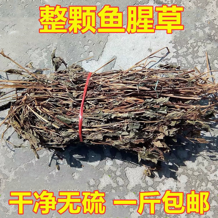 鱼腥草干货泡水，野生新鲜折耳根，清热凉茶，一斤装包邮！