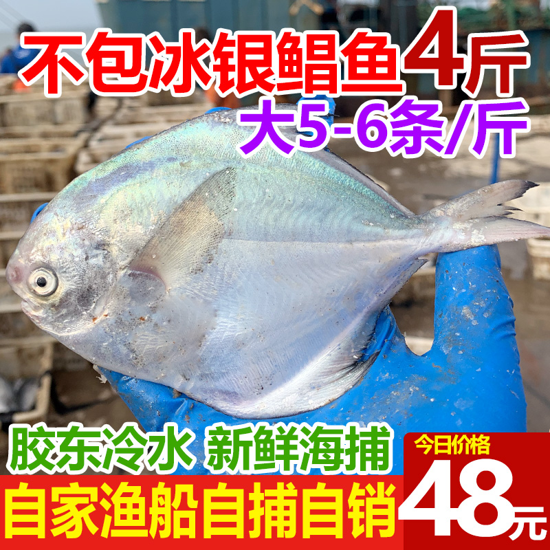 活杀三去白水鱼400g/条：如何挑选新鲜美味的白水鱼？
