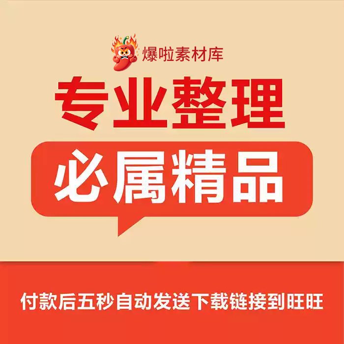 呼啸长空：P-51战机传奇，重温经典战史回眸