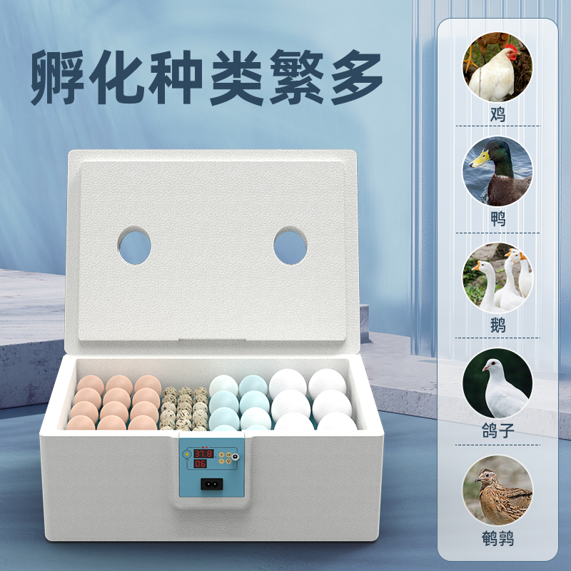 小鸡孵化新神器：家用小型水床孵化器，轻松实现养鸡梦！