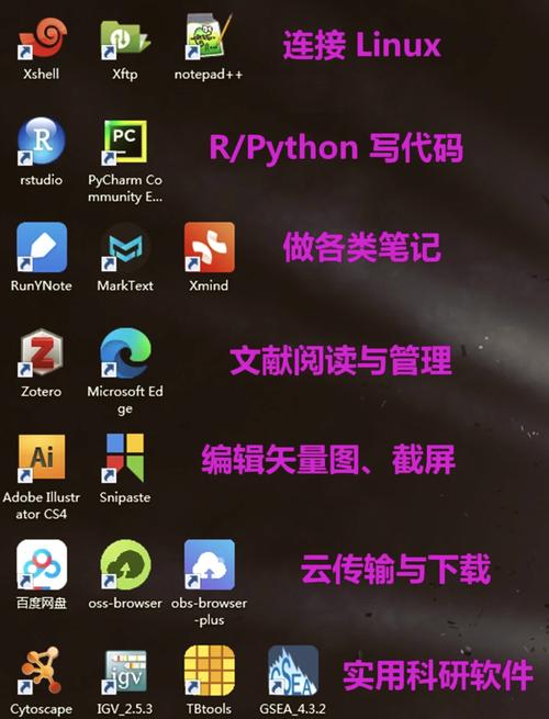 linux 下载工具,高效便捷的文件传输利器