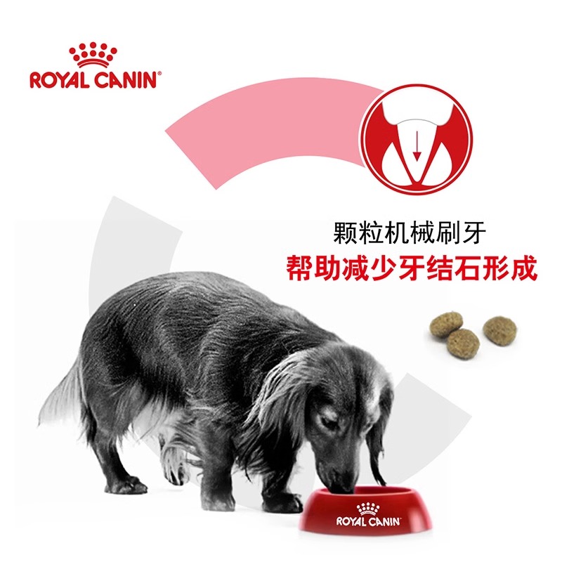 皇家狗粮大型犬幼犬粮：金毛拉布拉多阿拉斯加的营养守护神