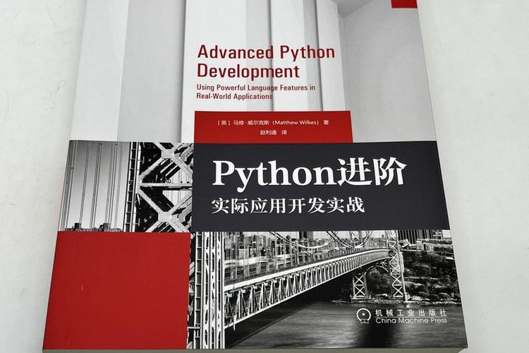 python大数据开发,技术趋势与实战应用