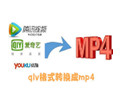 qlv格式转换成mp41.1 官方免费版
