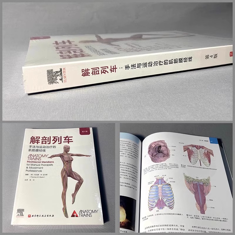 解剖列车+身体解读！医学小白也能看懂的肌肉书！这波必须冲！