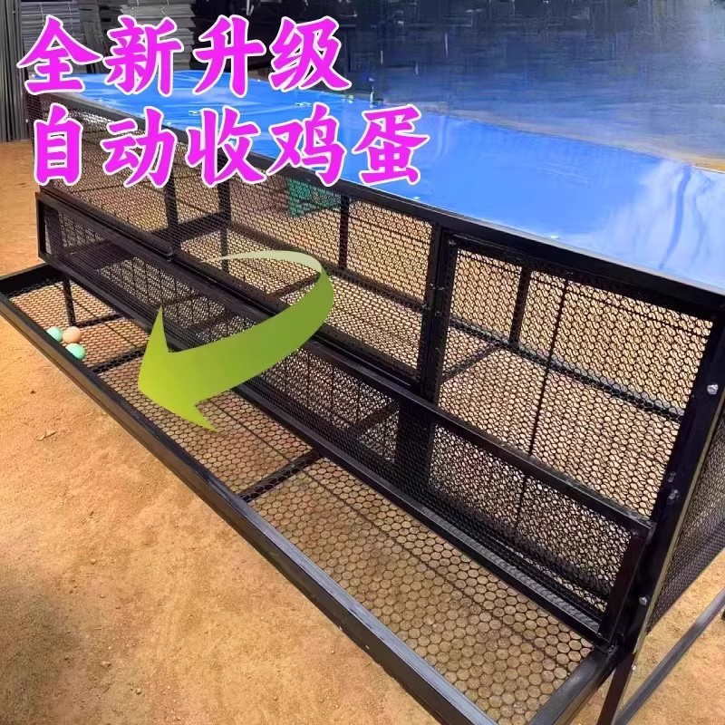 5年老鸽子现杀！孕妇月子煲汤神器，滋补天花板真的香爆了‼️