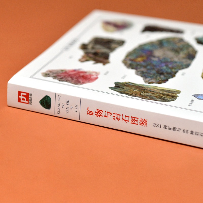 【官方正版】中国蜻蜓大图鉴：探索神秘蜻蜓世界的终极指南！