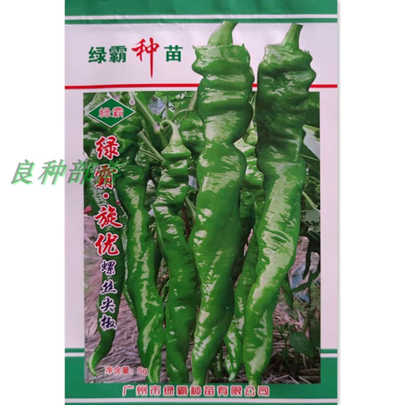 广州绿霸辣椒种子：旋优螺丝尖椒，辣出新滋味️
