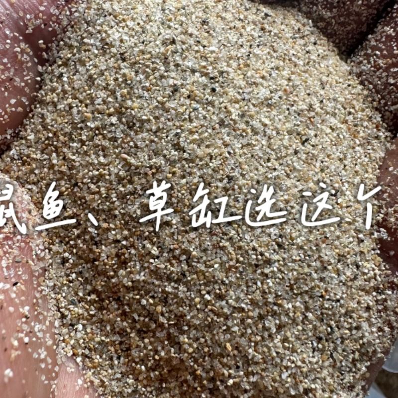 进鑫鑫中沙：50kg/袋，黄色细腻河砂，家装必备神器！✨