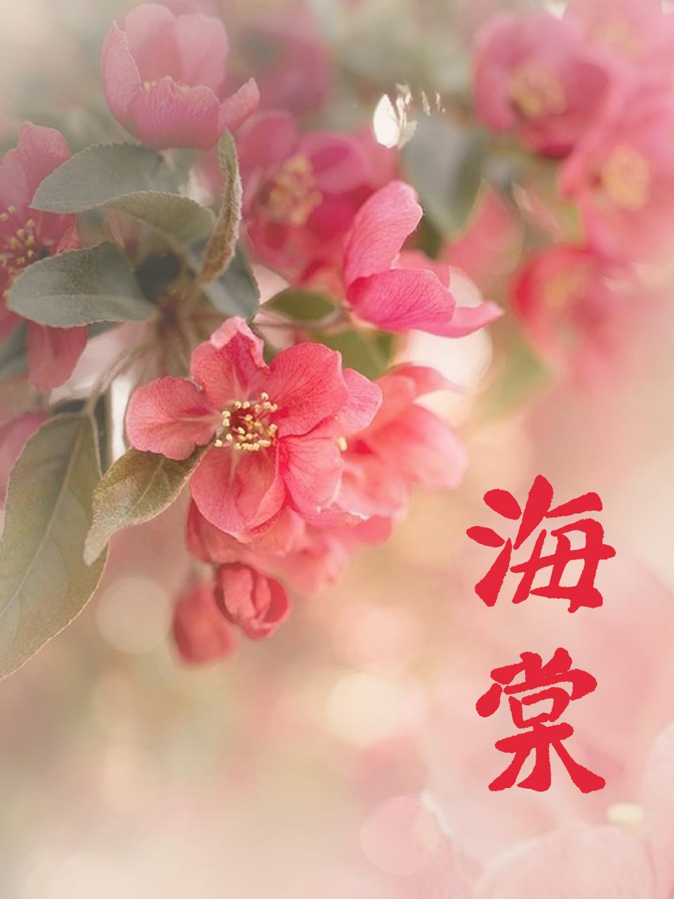海棠