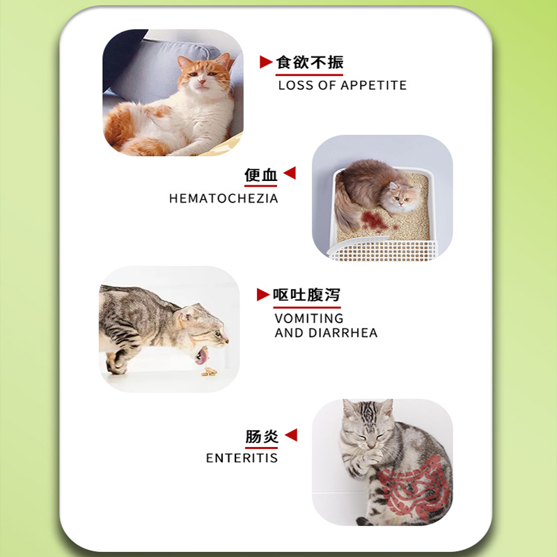 宠物肠胃守护神：鲁米苏白陶土肠胃混悬液与罗康唑，猫狗拉稀腹泻的终极解决方案！
