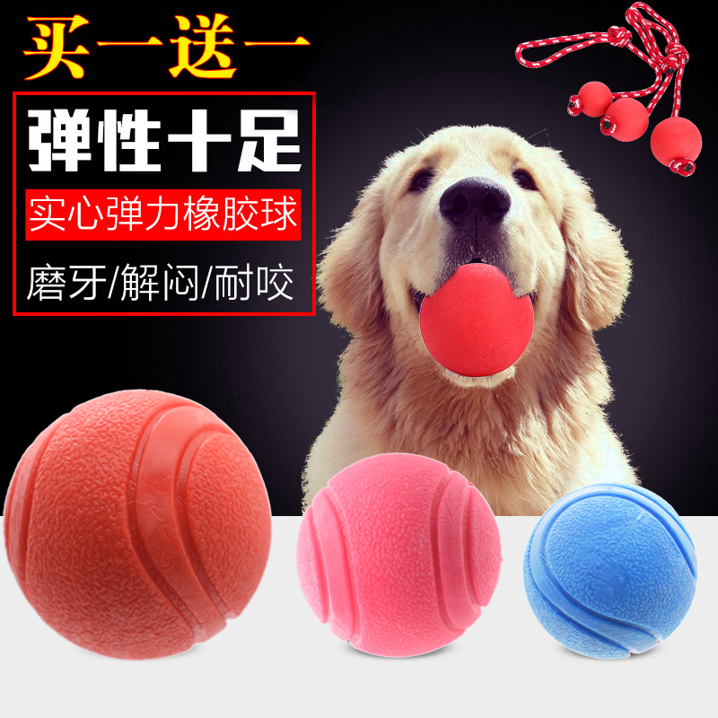 拉布拉多犬成年体重是多少？养狗前必看