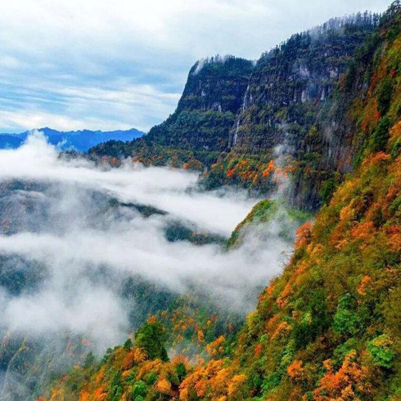 揭秘瓦屋山居温泉的秘密：价格背后的奢华享受