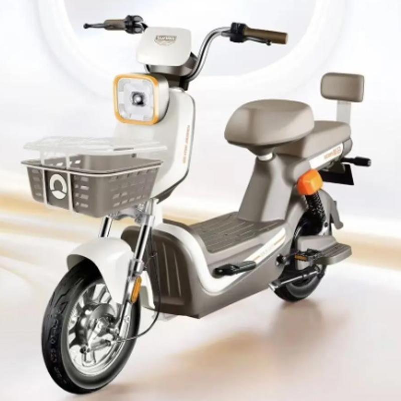 新日电动车价格一览表哪里找？