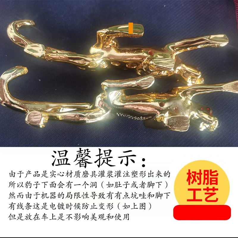 守护荒野｜许宁 豹/金钱豹/花豹：遇见自然界的神秘王者