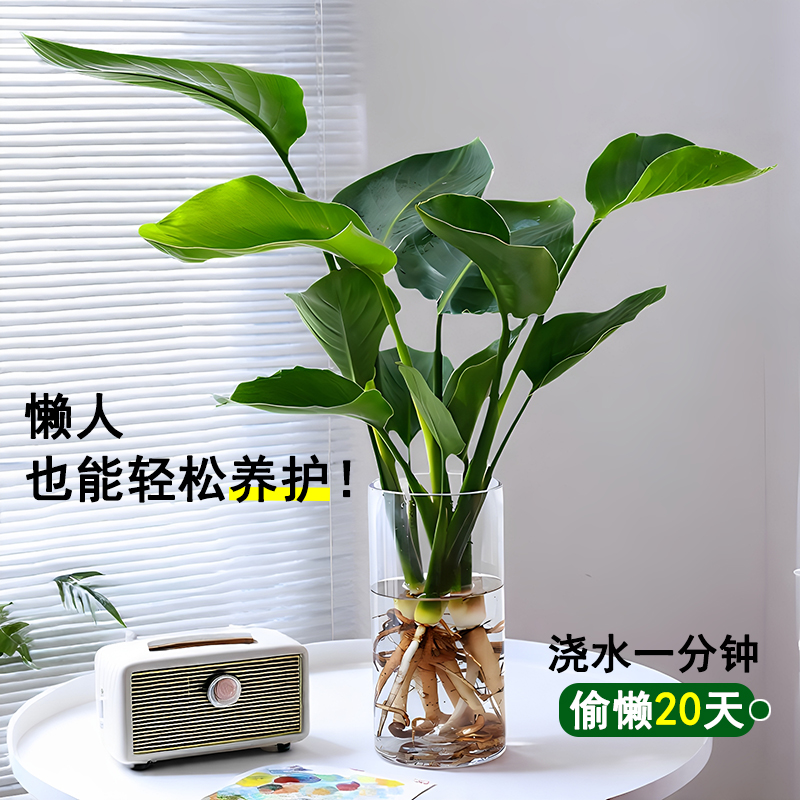 淘宝官方入口大揭秘！避开所有坑，直达购物天堂的正确姿势