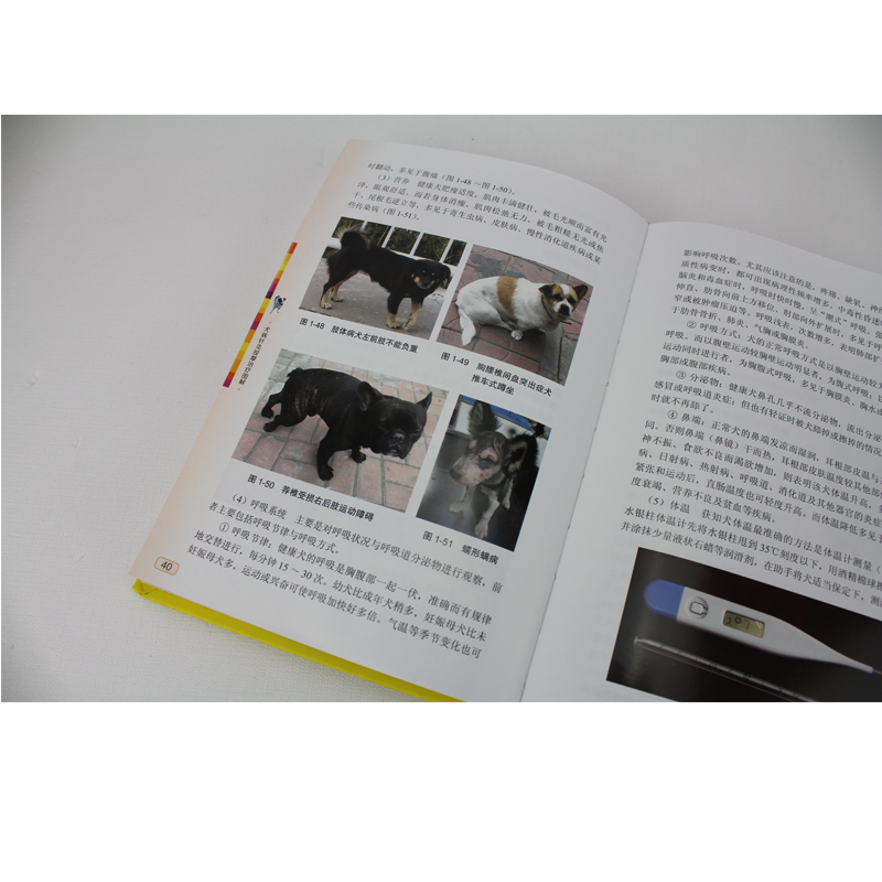 犬病针灸按摩治疗图解：给毛孩子最好的呵护！