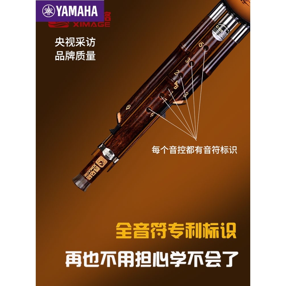 Yamaha雅马哈葫芦丝：小学生到成人的音乐梦想启航神器！