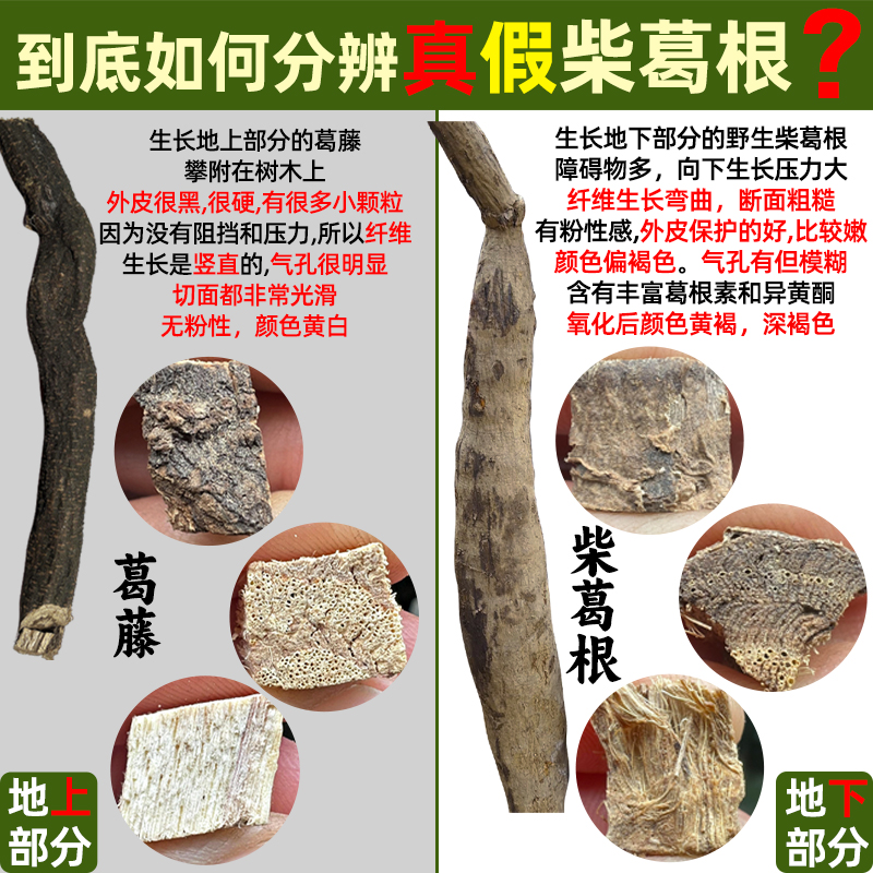 杞里香丹参中药材250g：养生界的明星，无硫丹参段，泡茶泡水的绝佳选择！