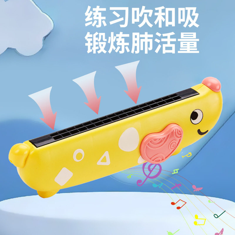 如何选择适合初学者使用的班贝格口风琴？