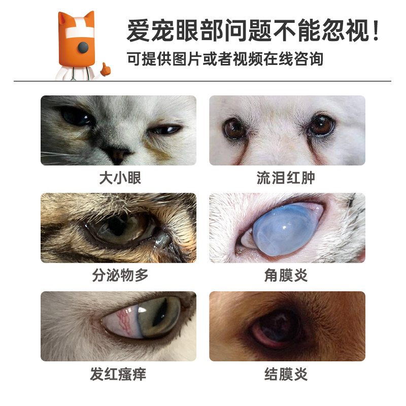瑞德医生猫眼药水 vs 硫酸新霉素滴眼液：宠物眼炎治疗大比拼！