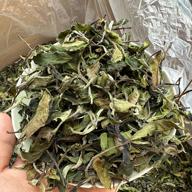 君点茶叶云南白茶：月光白的神秘诱惑，东方美人的优雅风范✨