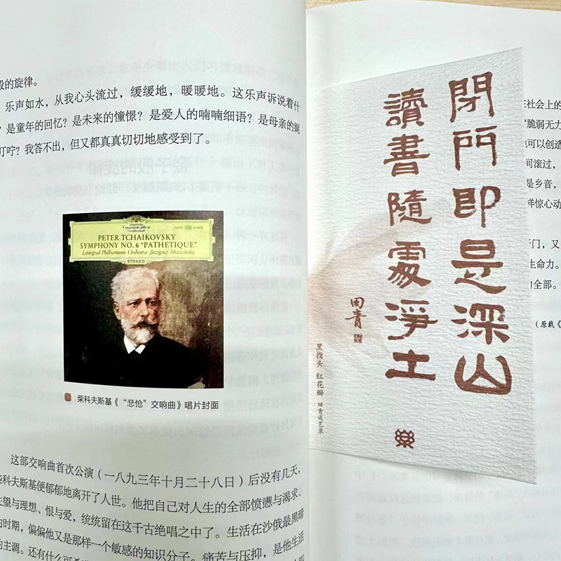 黑指头红花瓣：田青谈艺录中的音乐艺术启示录