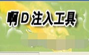 啊D注入工具2.32 官方版