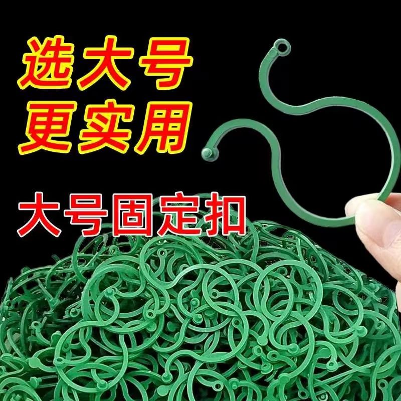 黄瓜西红柿豆角爬藤绑枝神器：8字夹绿植蔬菜捆藤蔓专用固定夹！