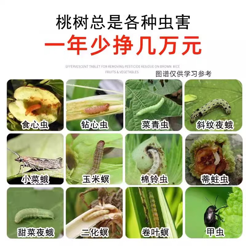 桃树杀虫药大揭秘！钻心虫天牛克星，果树防虫必备神器！