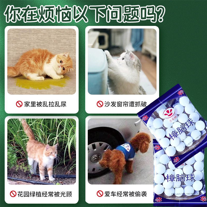 山木摄影背包40L到底值不值得买？户外摄影神器实测！这波真的冲了