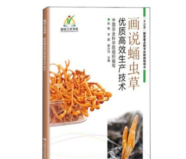 冬虫夏草人工培育技术揭秘！这波真的太香了！