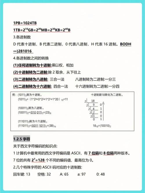 计算机一级应用,掌握现代办公与演示技能的入门指南